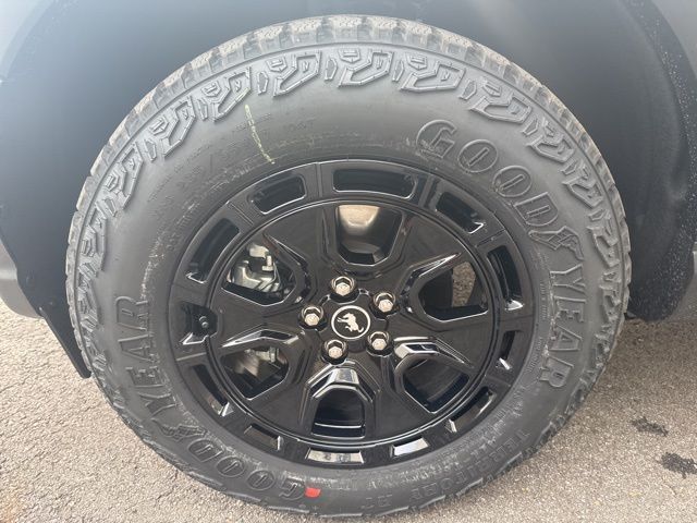 New 2025 Beige Ford Outer Banks image 15