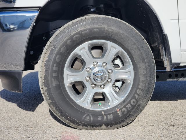 New 2026 White Ram Big Horn image 9