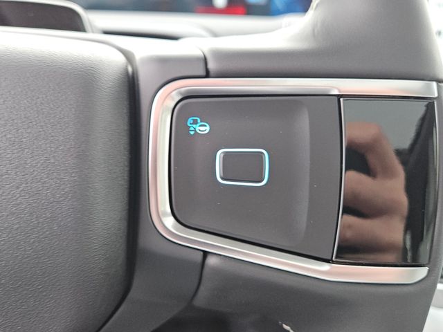 New 2026 Black Ford Platinum image 26