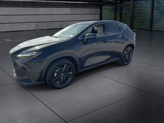 Used 2025 Lexus NX SUV