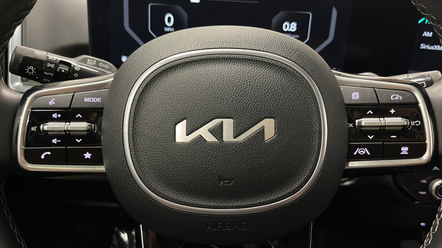 Used 2024 Black Kia X-Line SX image 16