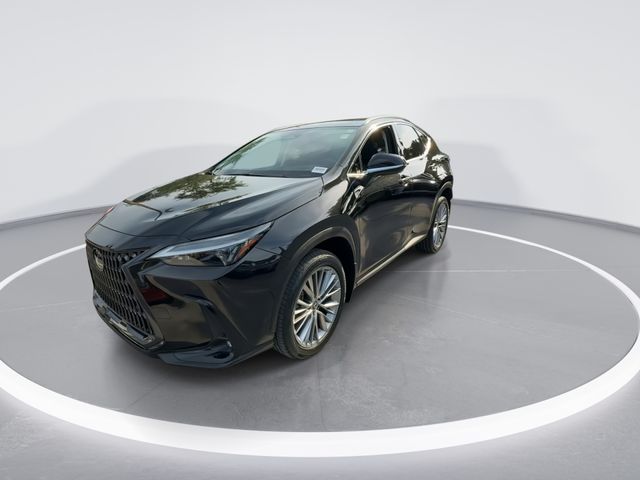 Used 2023 Lexus NX SUV