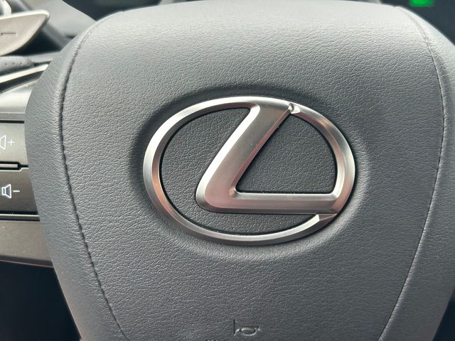 Used 2024 Lexus RX SUV