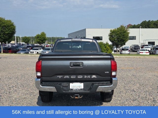 Used 2019 Toyota Tacoma Truck