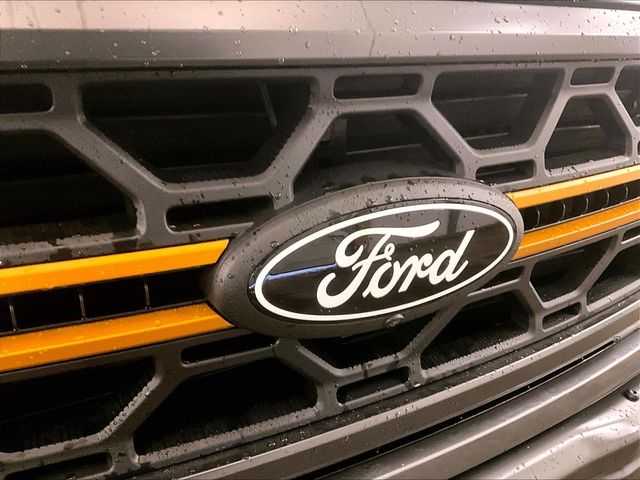 2025 Ford F-150 Tremor Gray at Bob Ruth Ford