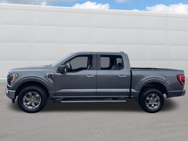 2023 Ford F-150 XLT 2