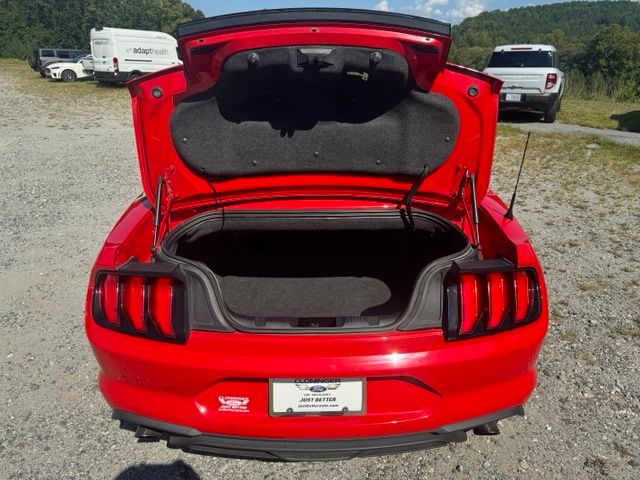 Used 2022 Red Ford EcoBoost Premium image 7