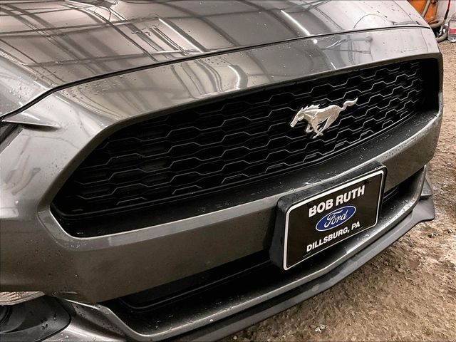 2016 Ford Mustang V6 Gray at Grove City Ford