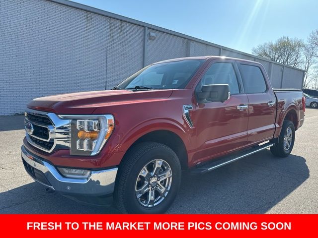 Used 2023 Ford F-150 Image