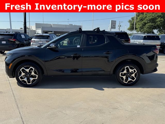 2024 Hyundai Santa Cruz Limited Black at Cook Ford