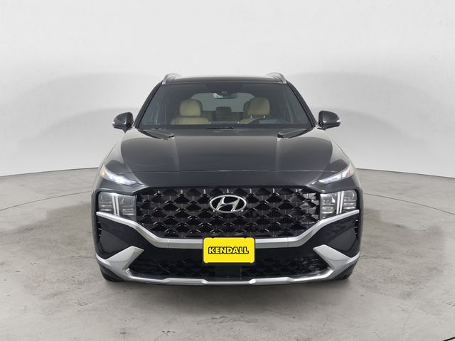 Used 2023 Twilight Black Hyundai Calligraphy image 8