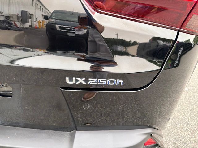 Used 2020 Lexus UX SUV