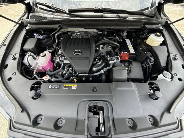 Used 2026 Lexus RX SUV