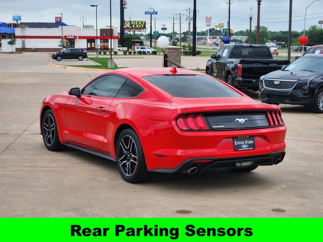 2023 Ford Mustang EcoBoost photo
