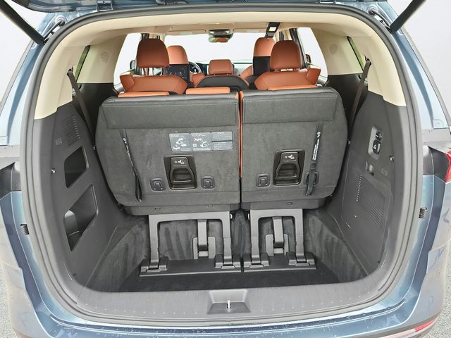 Used 2024 Kia Carnival Van