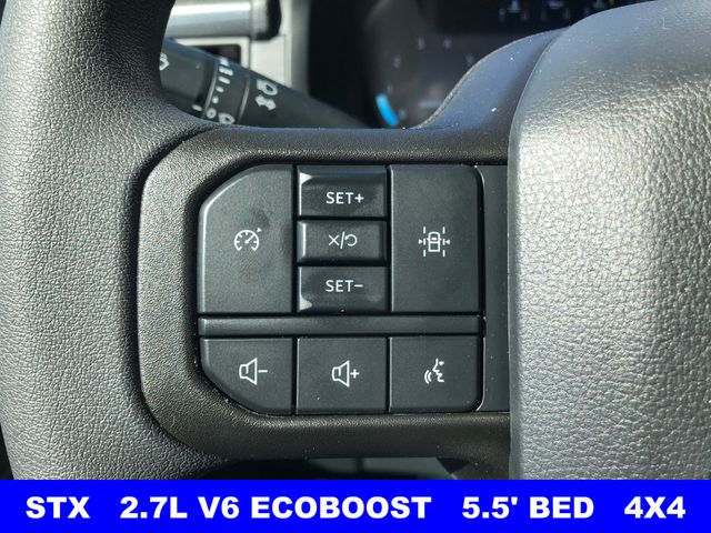 New 2026 Gray Ford STX image 10