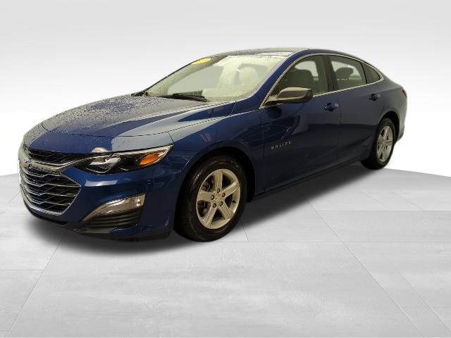 2023 Chevrolet Malibu 1FL