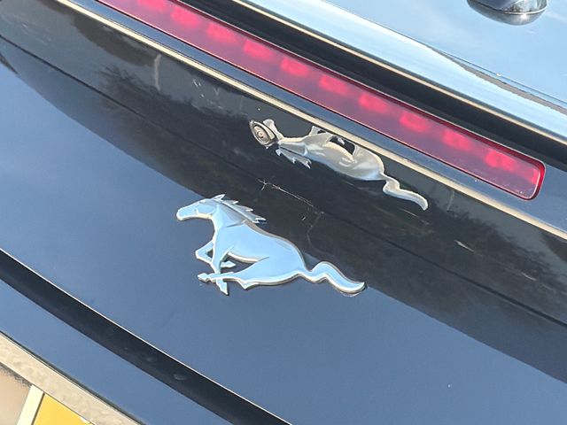 Certified Used 2024 Black Ford EcoBoost Premium image 10