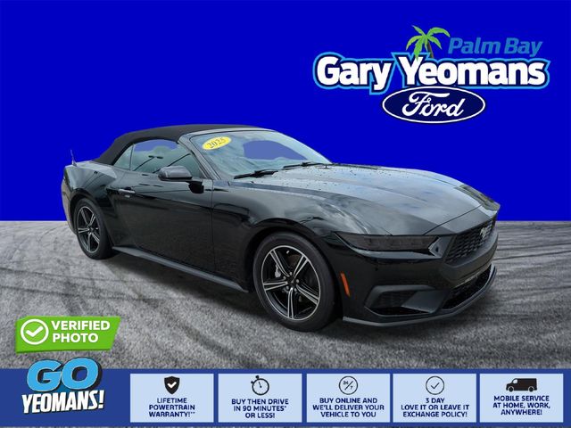 Shadow Black 2025 Ford Mustang EcoBoost Convertible RWD Convertible Rear-Wheel Drive Automatic