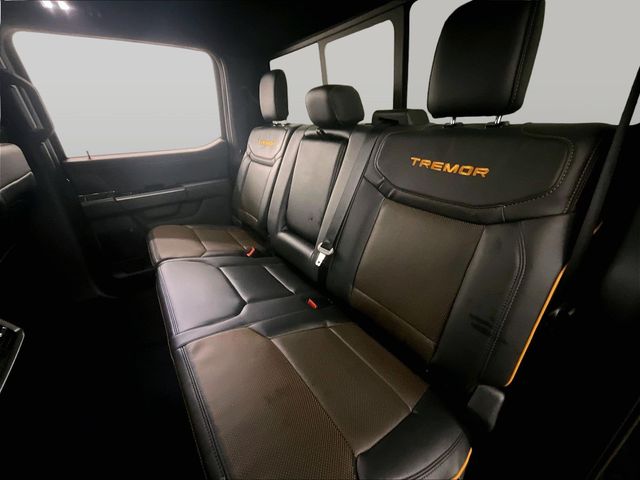 2025 Ford F-150 Tremor Gray at Bob Ruth Ford
