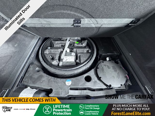 Q8 Premium Plus 55 TFSI quattro