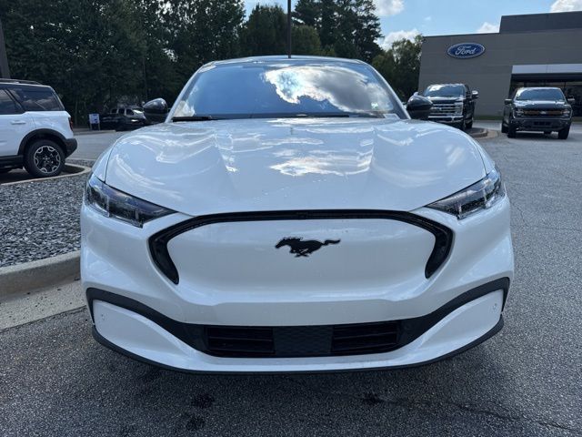 New 2025 White Ford Premium image 4