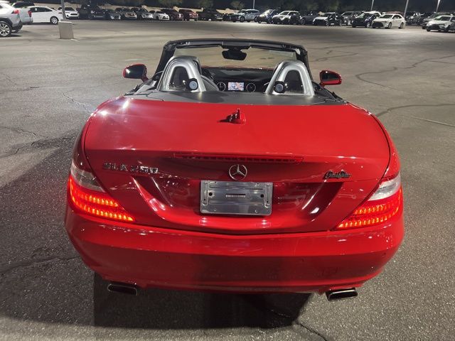 2013 Mercedes-Benz SLK SLK 250 17