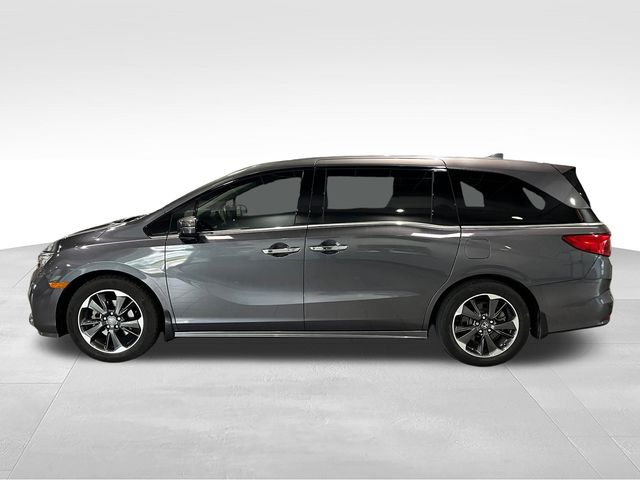 2024 Honda Odyssey Elite Gray at Stokes Honda North