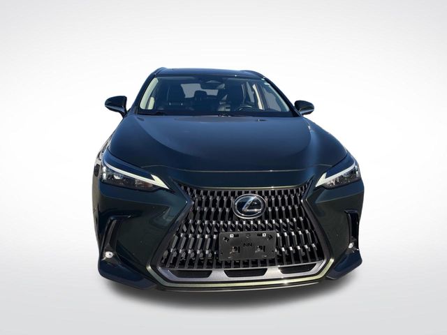 2022 Lexus NX  11