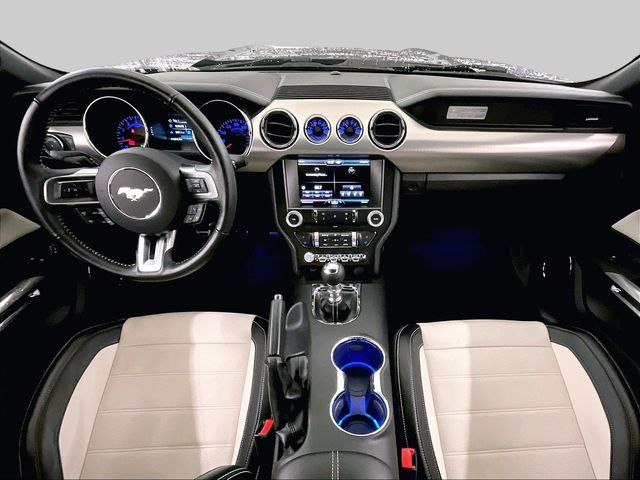 2015 Ford Mustang GT 50 Years Limited Edition Blue at Grove City Ford