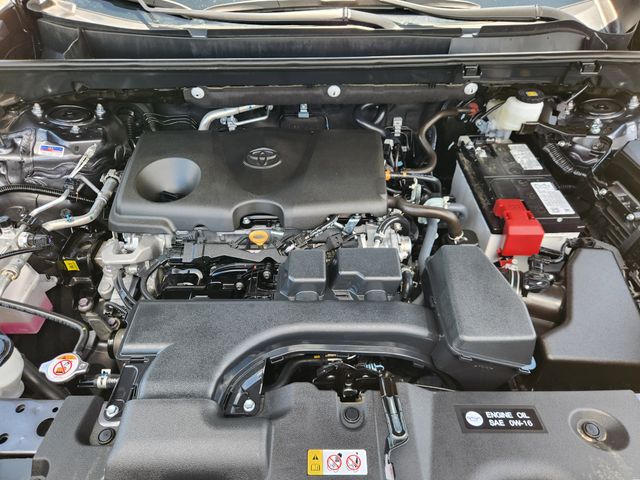 2025 Toyota RAV4 XLE Gray at Don McGill Toyota