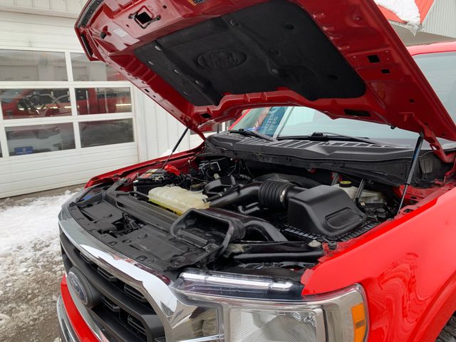 Used 2022 Ford F-150 Truck