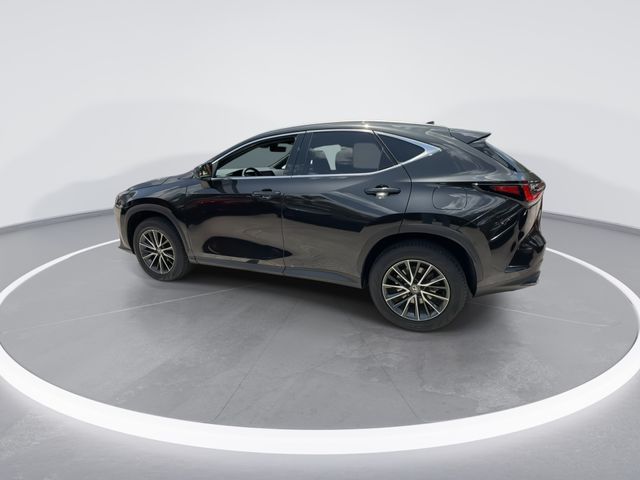 Used 2024 Lexus NX SUV