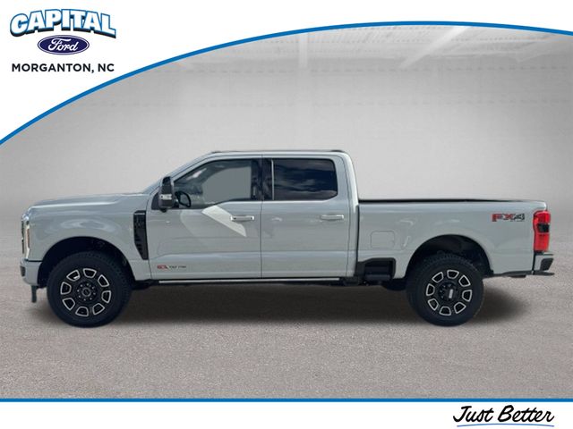 New 2026 White Ford Platinum image 4