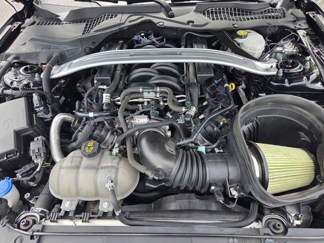 Used 2021 Black Ford Mach 1 image 26