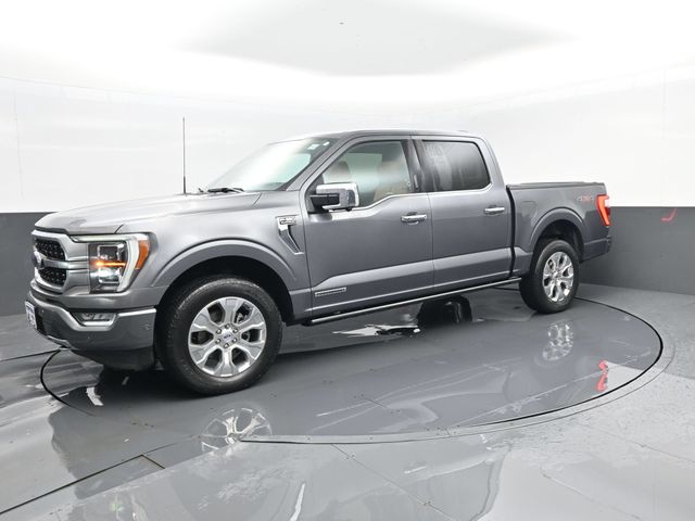 Gray 2023 Ford F-150 Pickup Truck Four-Wheel Drive Automatic