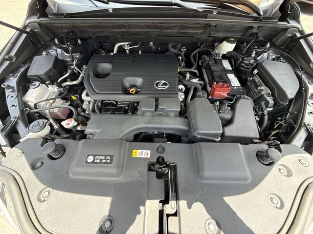 Used 2024 Lexus NX SUV
