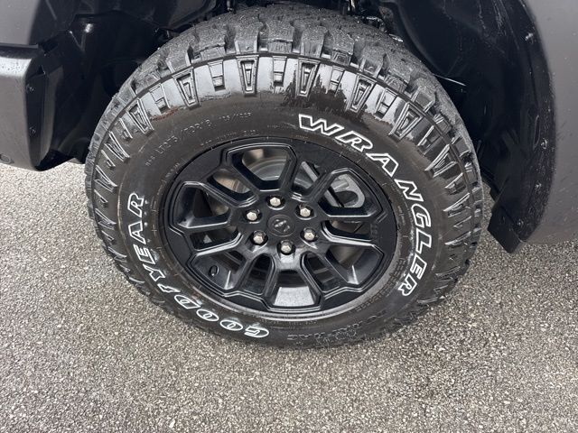 New 2026 Black Ram Rebel image 16