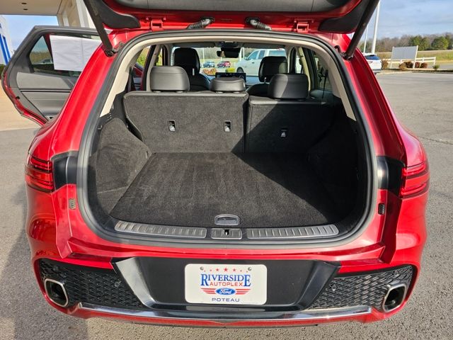 Used 2025 Red Genesis 2.5T image 10