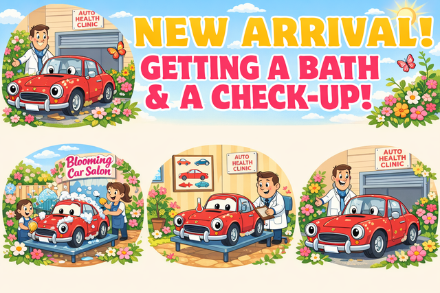 2019 Chevrolet Silverado 2500HD LTZ Crew Cab 4WD