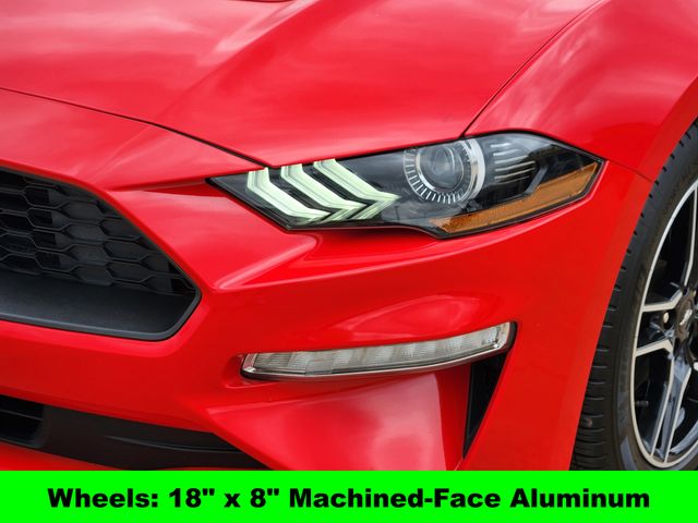 2023 Ford Mustang EcoBoost photo
