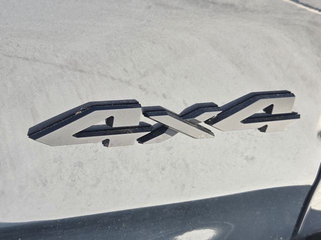 New 2026 Blue Ram Rebel image 31