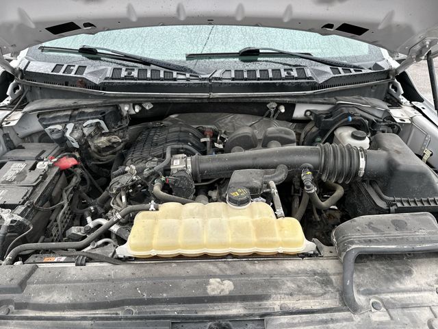 Used 2019 White Ford XL image 19