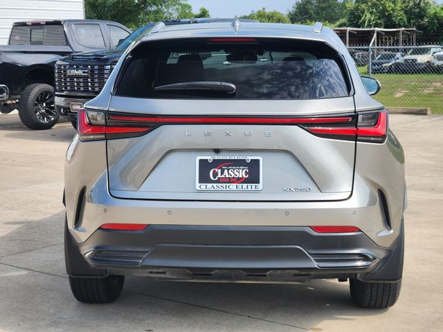 2024 Lexus NX 250 Premium - 5