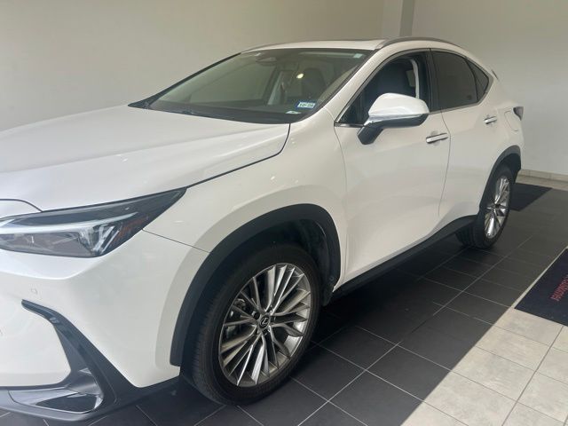 2025 Lexus NX 350 Premium White at Westside Lexus