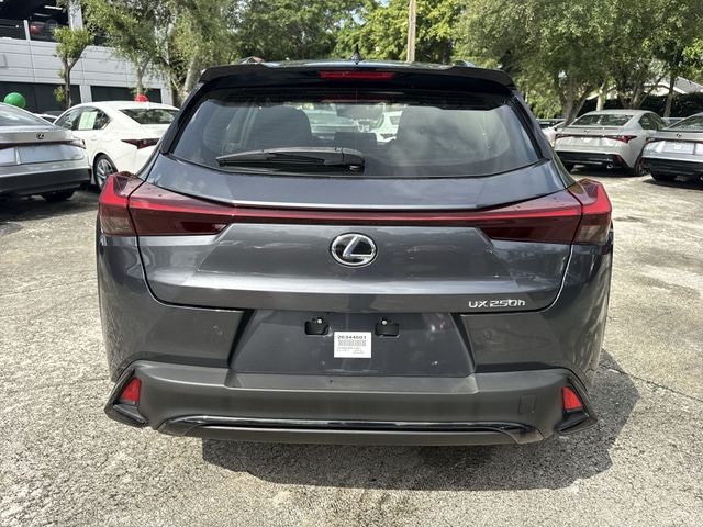 Used 2024 Lexus UX SUV
