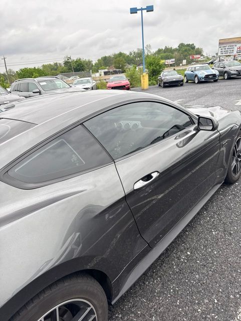 2019 Ford Mustang GT Gray at Grove City Ford