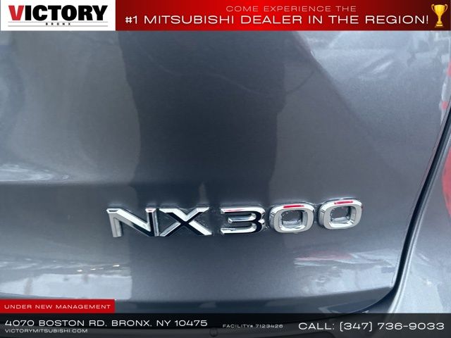 2021 Lexus NX 300 Base photo