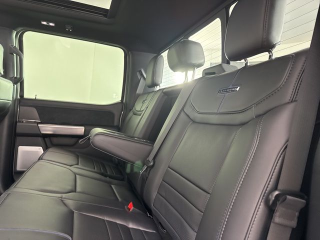 2025 Avalanche Ford Super Duty F-250 SRW Platinum 4X4 Truck