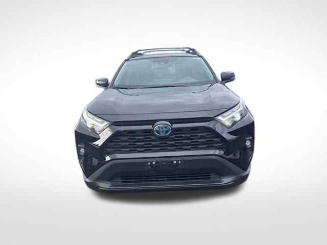 2024 Toyota RAV4 Hybrid Woodland Edition 4